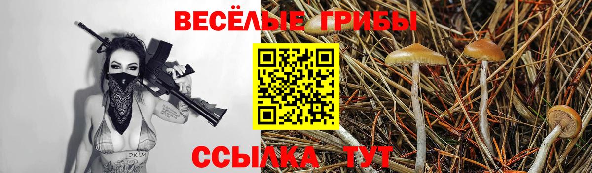 Псилоцибиновые грибы мицелий Снежинск