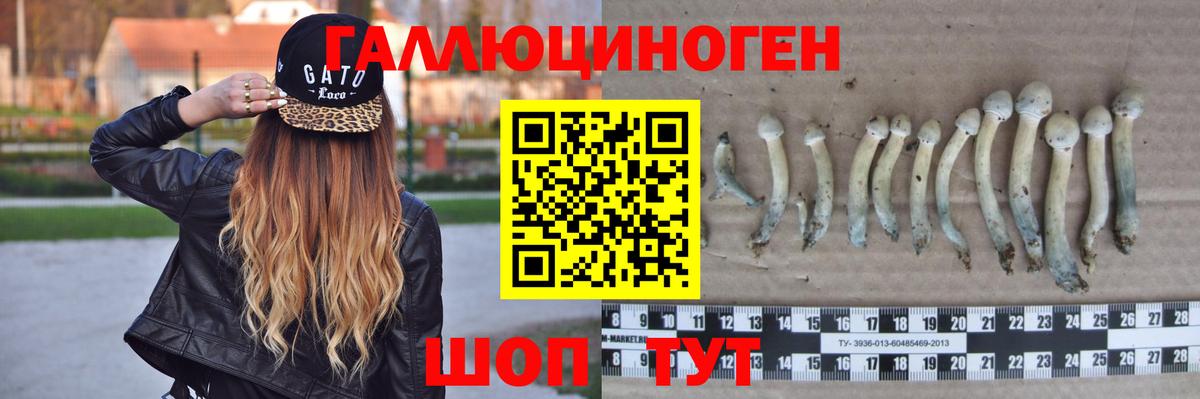 Снежинск  Галлюциногенные грибы Magic Shrooms  Вход с VPN 
